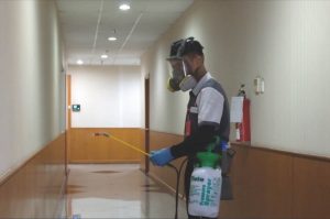 Cibis Park, Cibis Eight, Cibis Nine